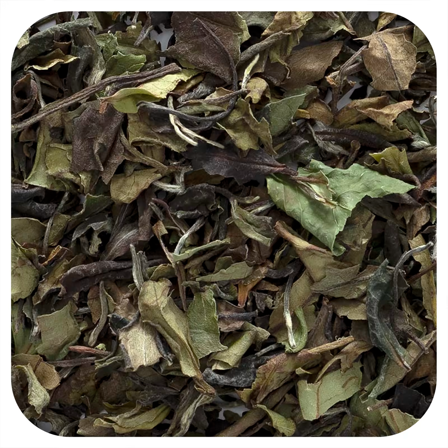 Frontier Co-op Organic White Peony White Tea – 16 oz (453 g)