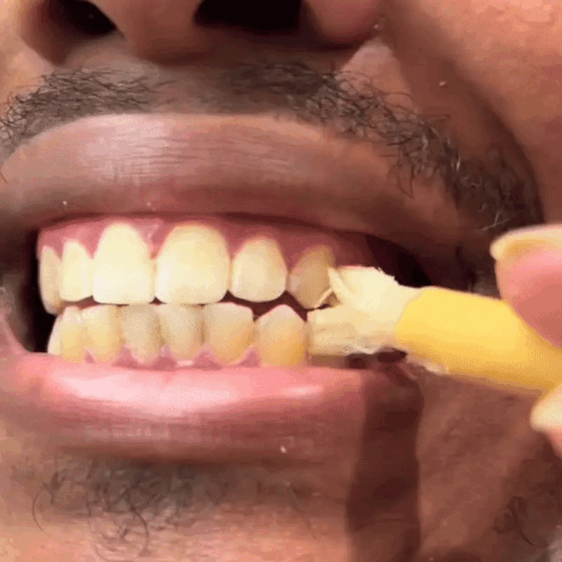 Ancient Miswak Toothbrush